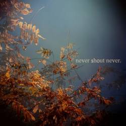 Never Shout Never : Never Shout Never.